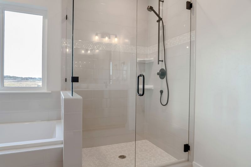 Black Frame Glass Shower Door